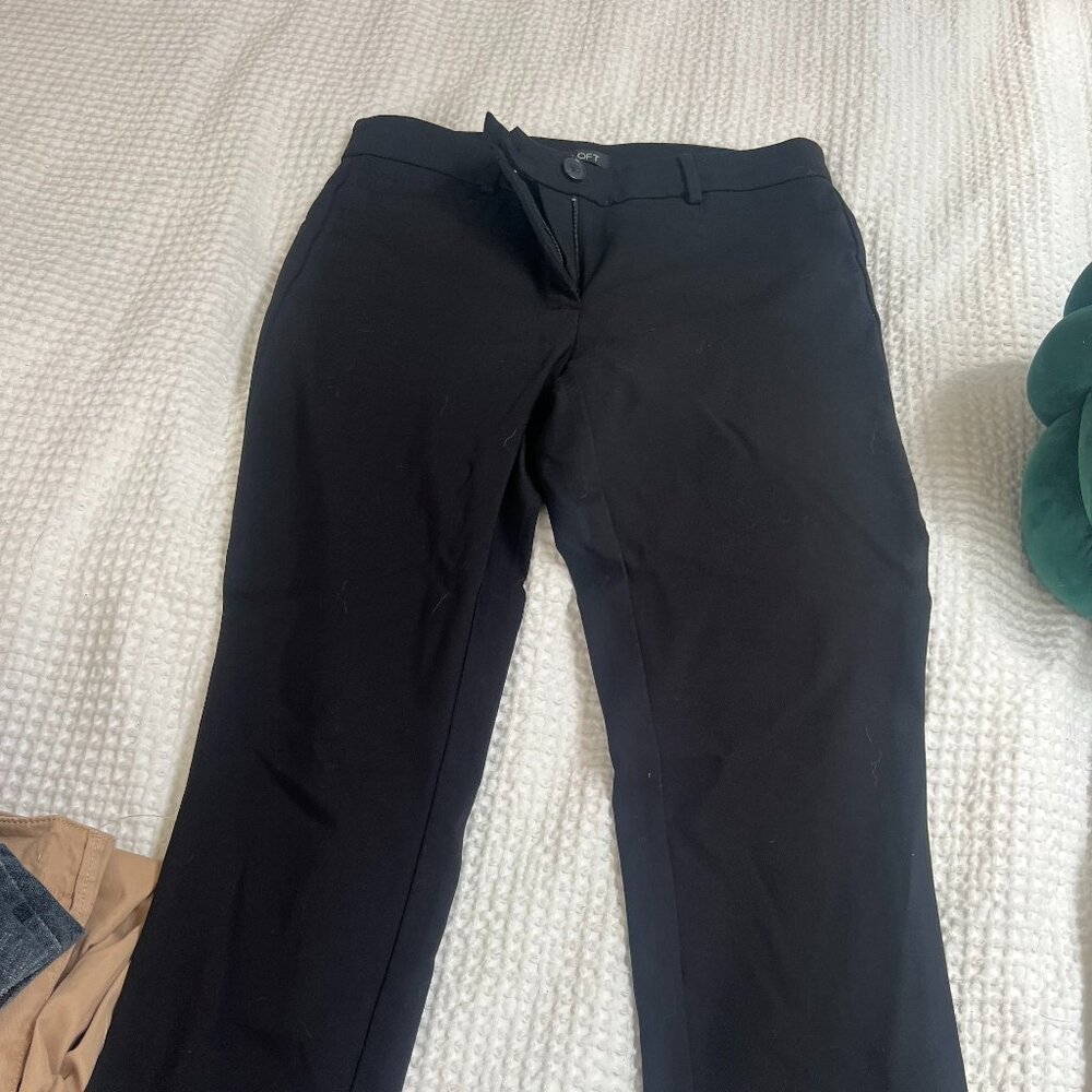 The Loft dress pants
